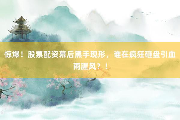 惊爆！股票配资幕后黑手现形，谁在疯狂砸盘引血雨腥风？！