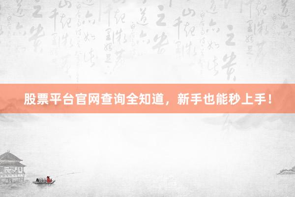 股票平台官网查询全知道，新手也能秒上手！