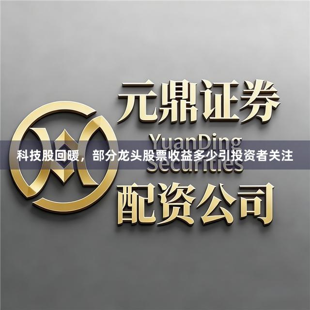 科技股回暖，部分龙头股票收益多少引投资者关注